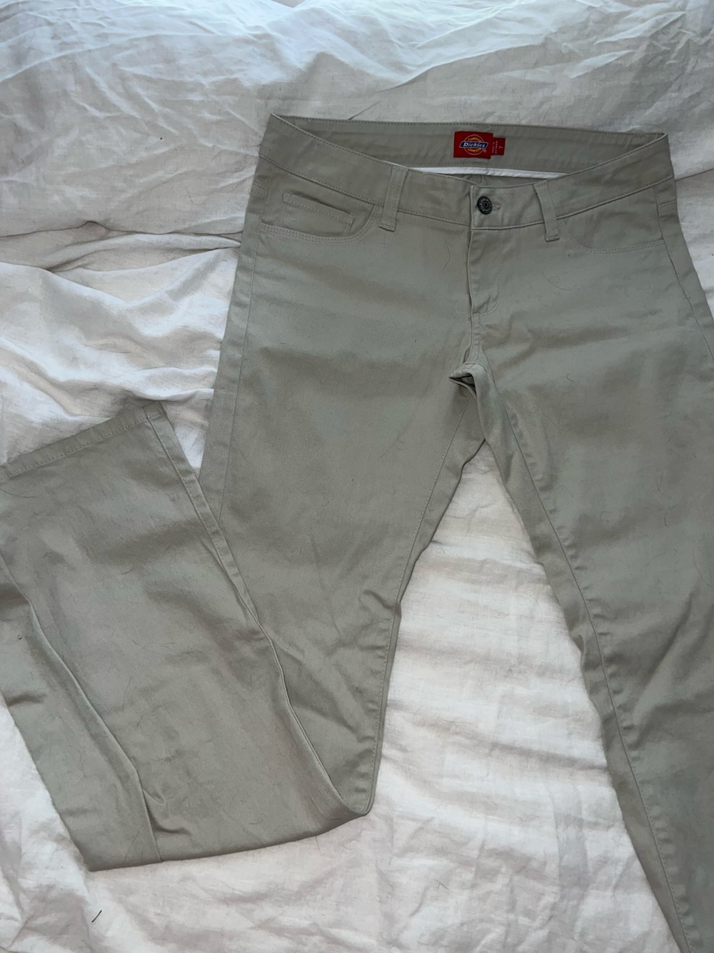 Dickies Men's Chino Pants in Sage